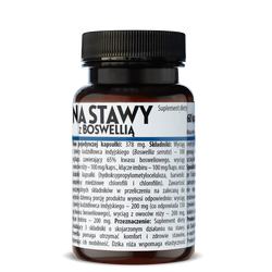 NA STAWY Z BOSWELLIĄ 60KAPSUŁEK (HERBAPOL KRAKÓW)