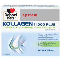 DOPPELHERZ SYSTEM KOLLAGEN 11000 PLUS 30AMPUŁEK